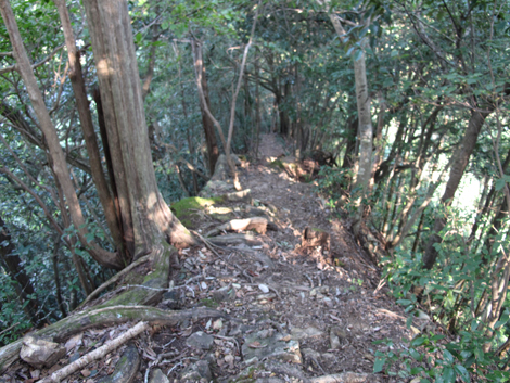 20181009hike (333)
